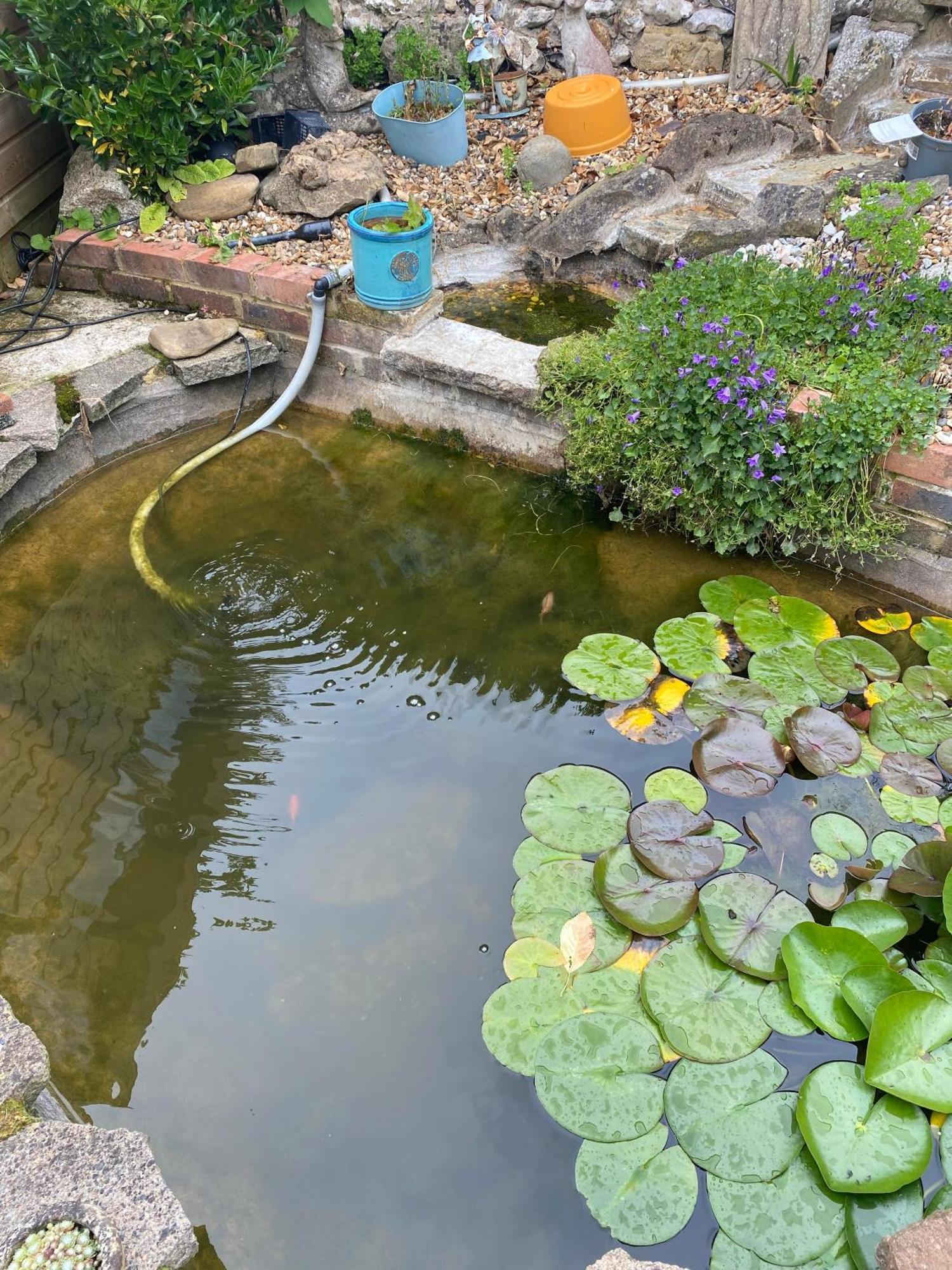 Pond Cottage بورلي المظهر الخارجي الصورة